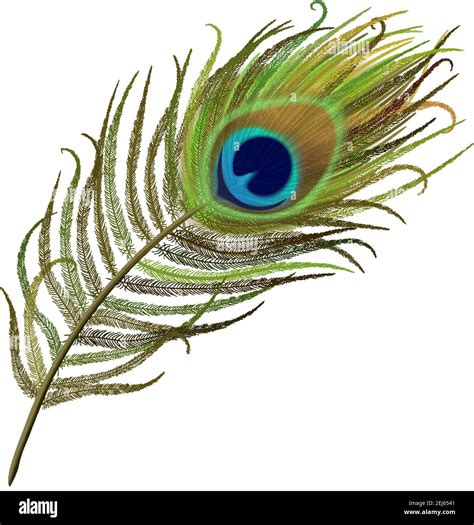 original peacock feather